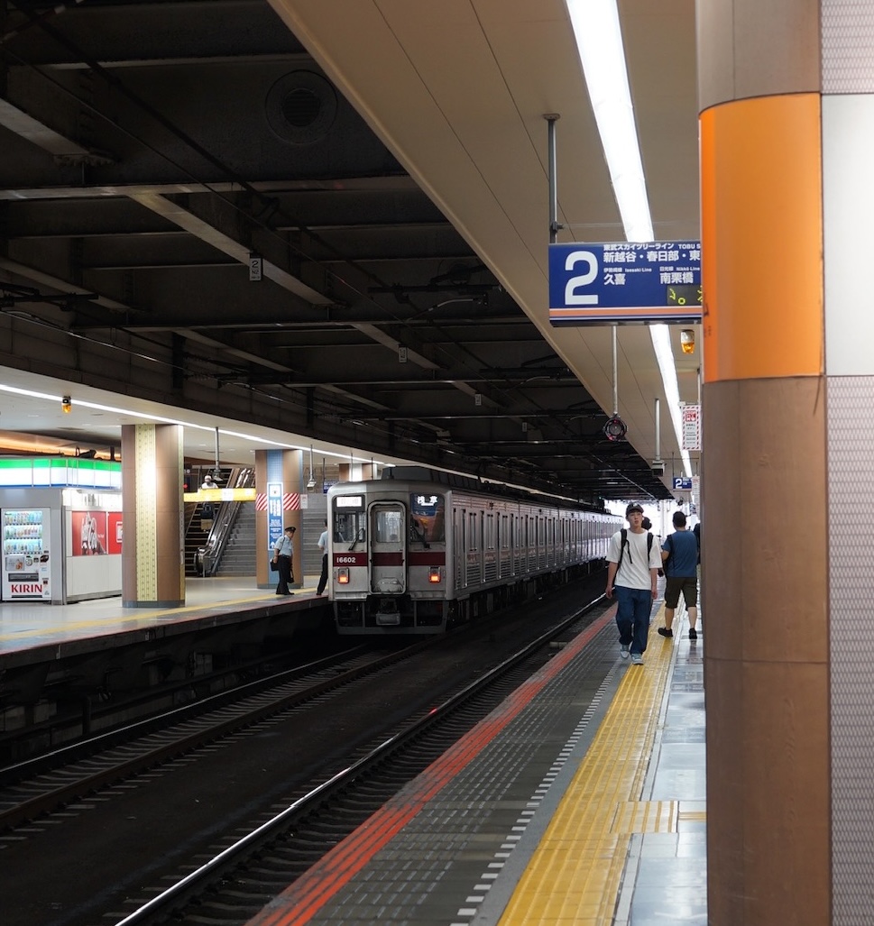 Einfahrender Zug, Tokyo Station