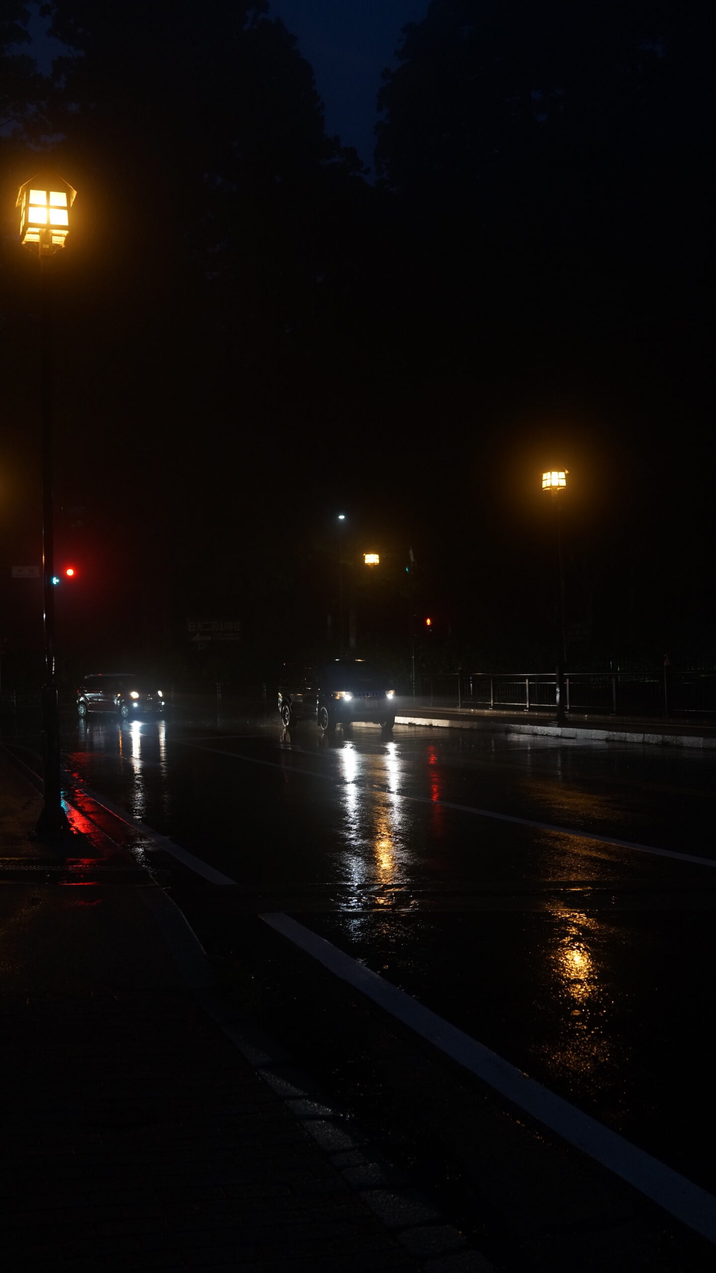 Autos im Regen //, Nikko