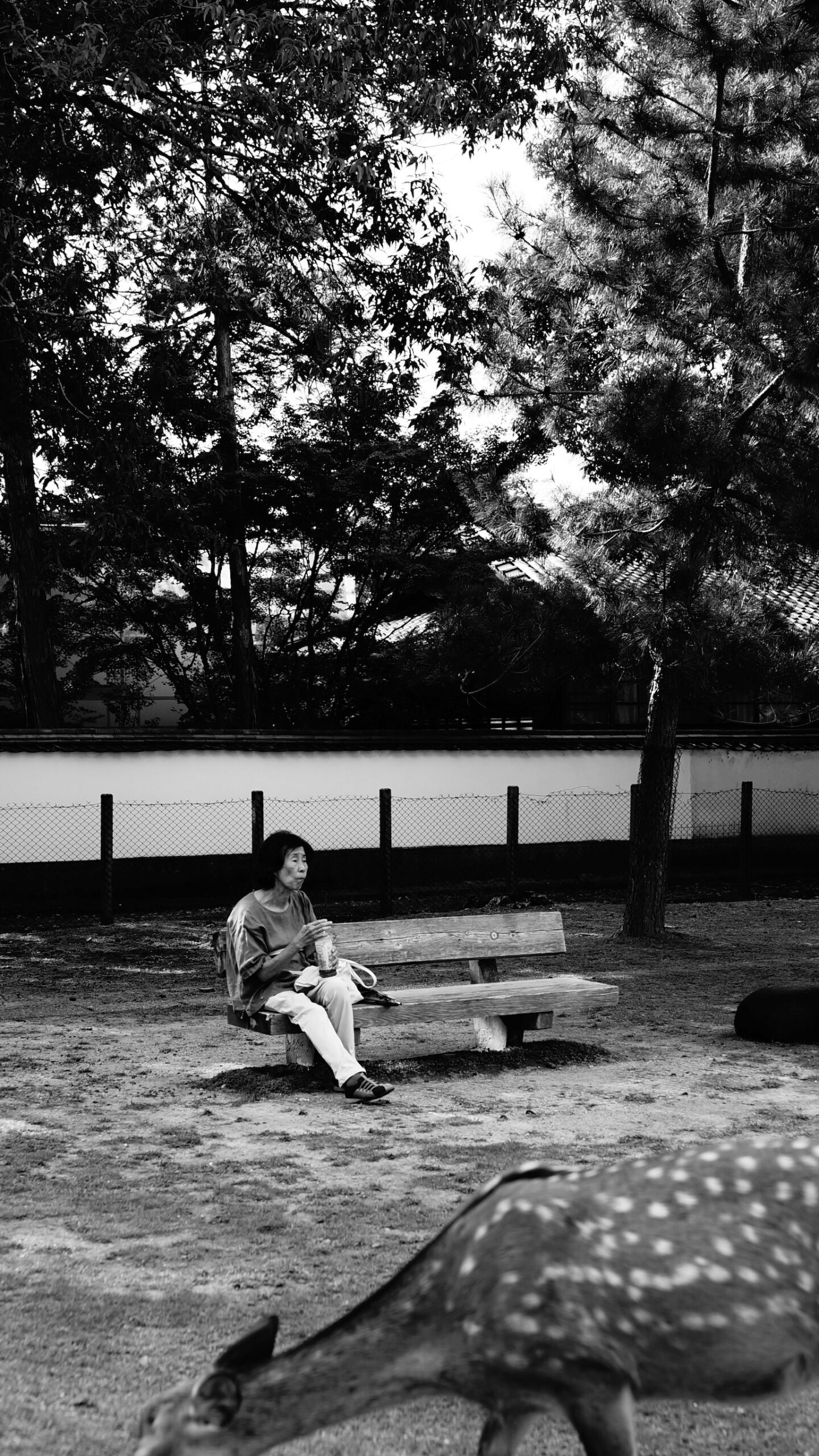 Ältere Dame auf Parkbank, Nara