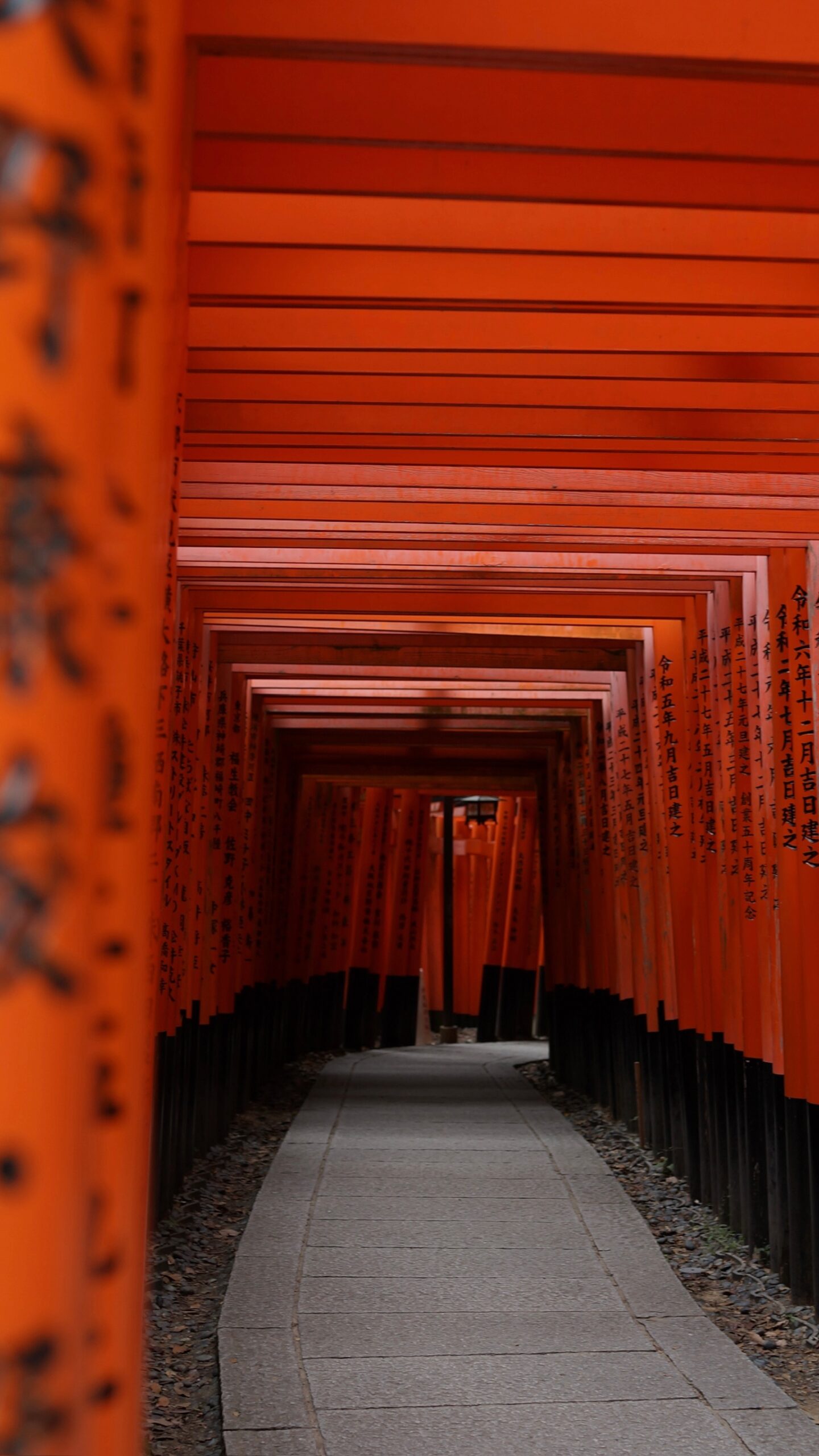 Schreintore II, Kyoto