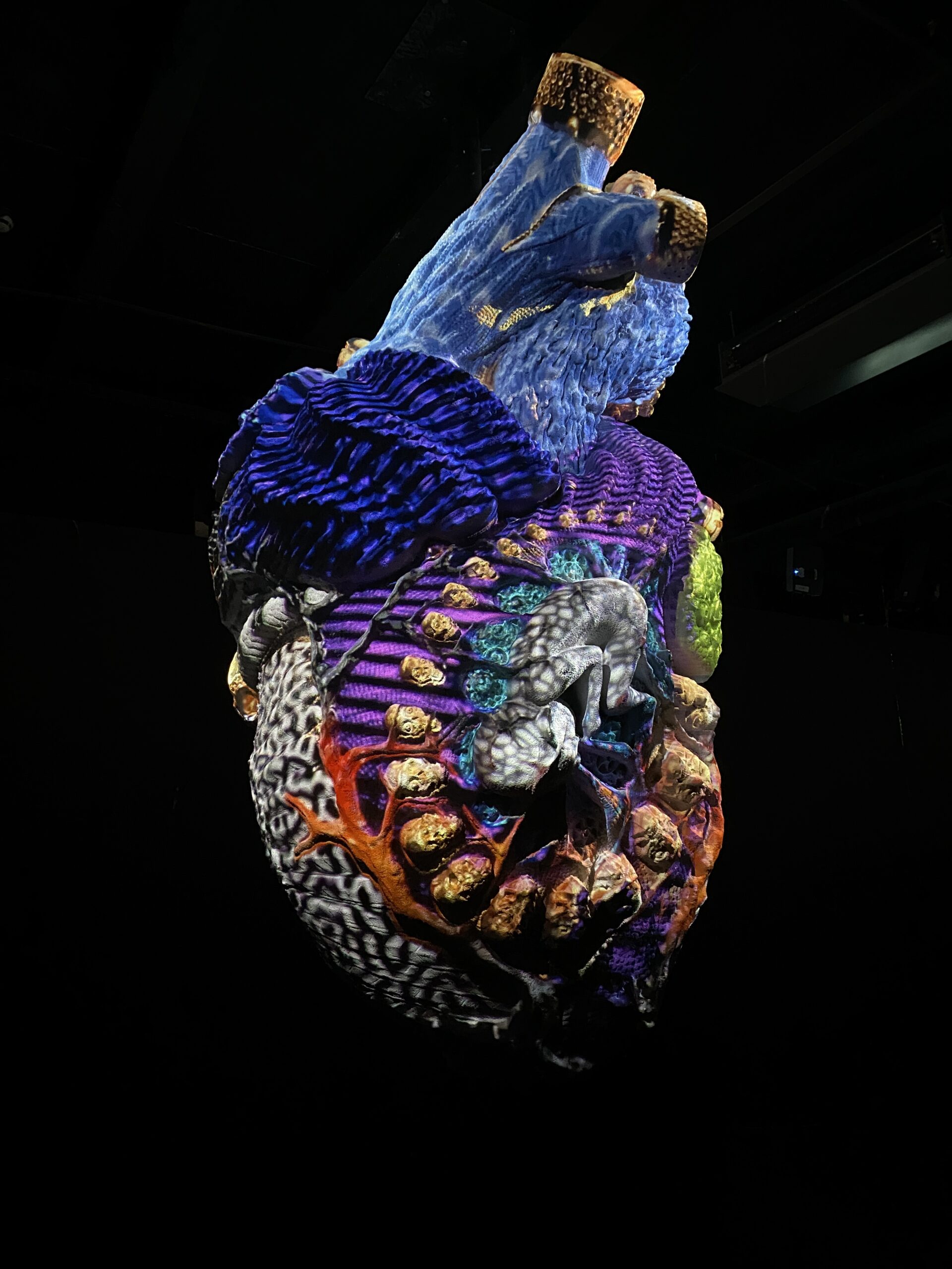 Herz Ausstellung, Budapest