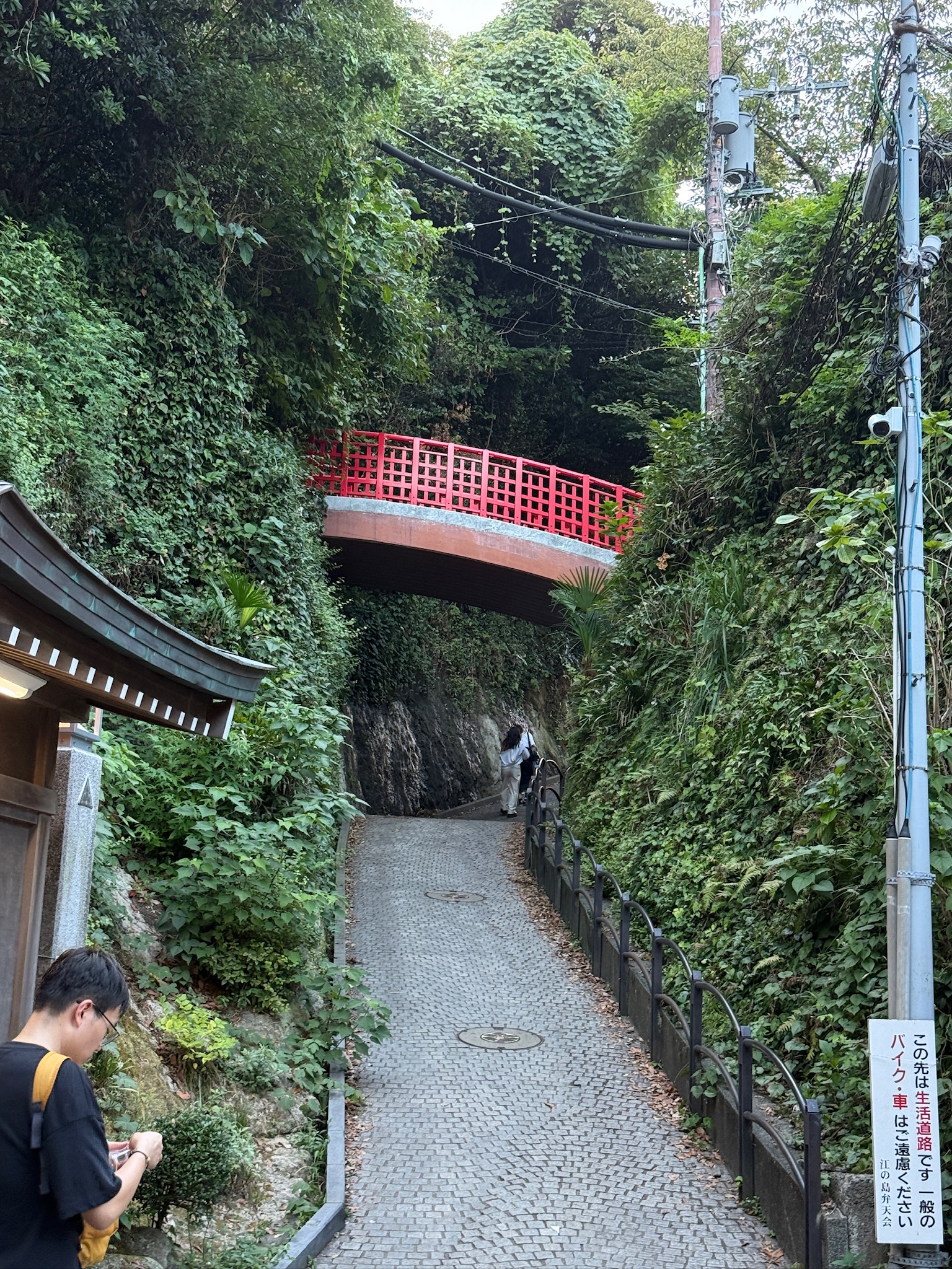Brücke im Wald, Enoshima