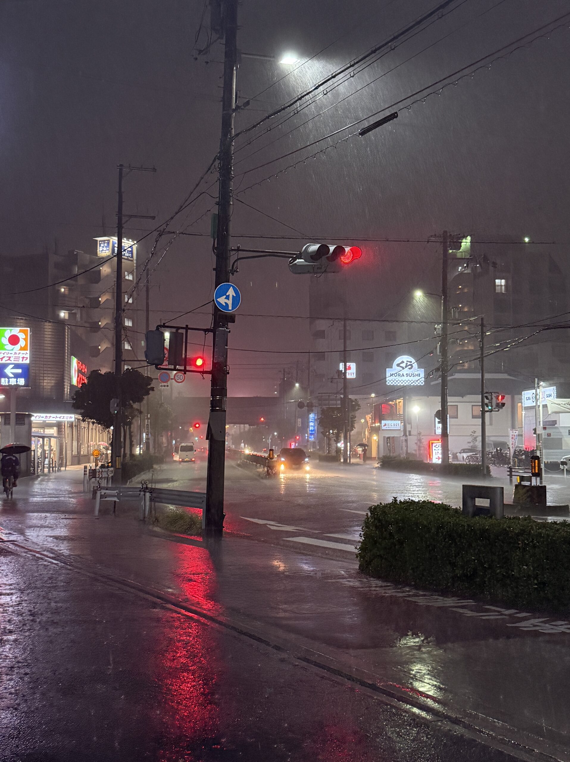 Straße im Regen, Osaka